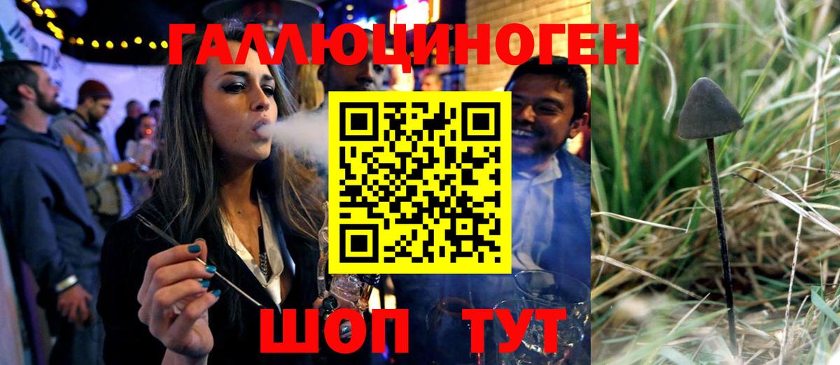 Псилоцибиновые грибы Psilocybe Благовещенск